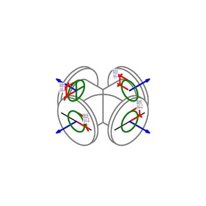 M_交叉 - 法蘭式 - GI - 25 級