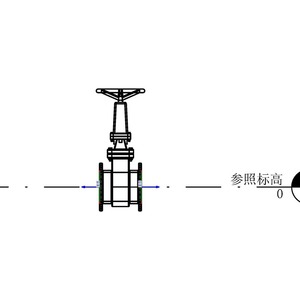 申桿式閘閥 200mm