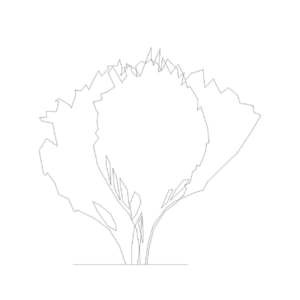 M_RPC 植栽 - 熱帶