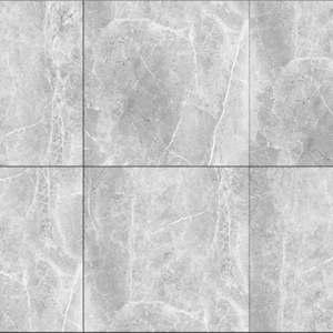 馬可貝里-地板大理石佛羅倫斯(DA8P08)_V22