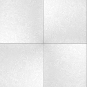 冠軍-地板拋光磚鑽石(PT88329)_V22