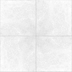 冠軍-地板拋光磚晶鑽石(SB88001)_V22