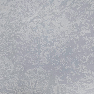 雅典娜仿清水模塗料施工rfa_V20