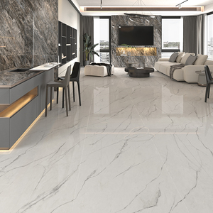 冠軍-瓷藝中板原石新境(DA918001)_V22