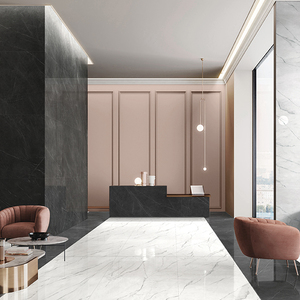 冠軍-瓷藝中板原石新境(DA918001)_V22