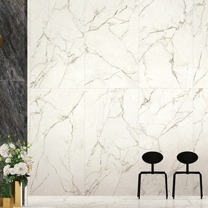 冠軍-瓷藝中板原石新境(DA918002)_V22