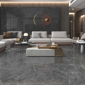 冠軍-瓷藝中板原石新境(DA918006)_V22