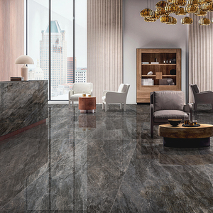 冠軍-瓷藝中板原石新境(DA918011)_V22