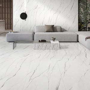 冠軍-瓷藝中板原石新境(GD918001)_V22