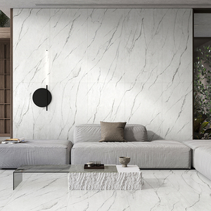 冠軍-瓷藝中板原石新境(GD918001)_V22