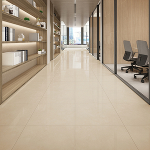 冠軍-拋光磚鑽石(PT66329)_V22