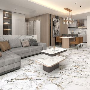 馬可貝里-瓷藝中板星曜米蘭(DA18P002)_V22